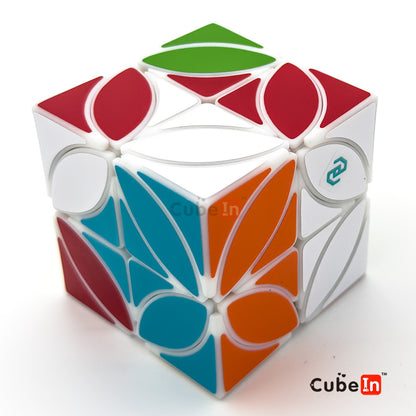 Cubo Zhecube 2x2 + Moneda