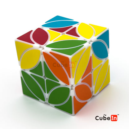 Cubo Zhecube 2x2 + Moneda