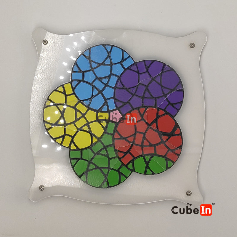 非常谜题天竺葵 V