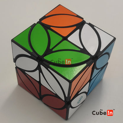 Zhecube 2x2 + Münzwürfel