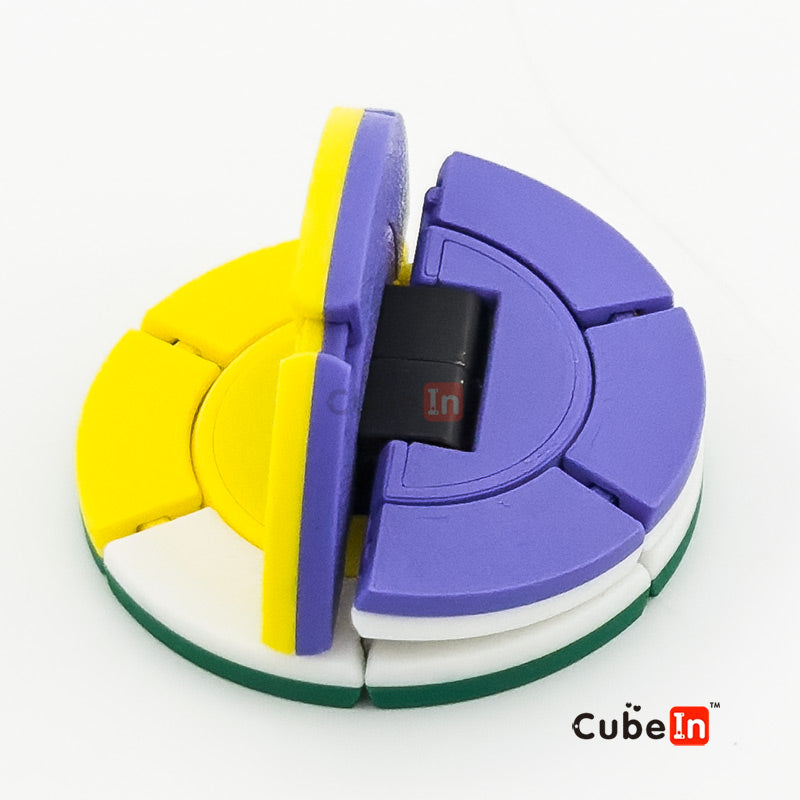 Roundy - Charlie Puzzle (3D Printed)
