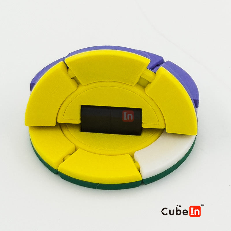 Roundy - Charlie Puzzle (3D Printed)