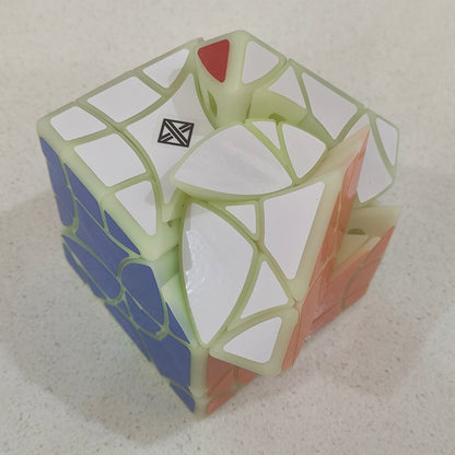 x² Stingray Copter Cube (3D Printed)
